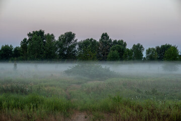 A soft summer morning mist drapes the fields near the city at the end of August, weaving through the golden grasses and whispering the promise of a new day