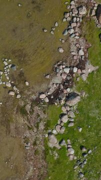 Vertical top down drone shot of coastline in the Baltic sea. Grass and rocks on the shore.