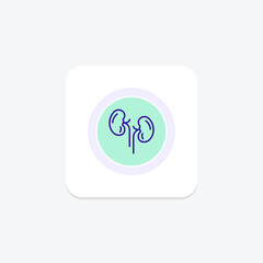 Kidneys line icon , vector, pixel perfect, illustrator file