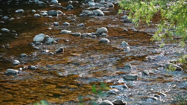 Wild mountain river flowing through stone boulders