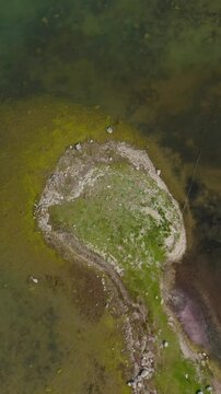 Vertical top down drone shot of Baltic sea water near coastline. Rocks. Grass. Ecology. Pollution.