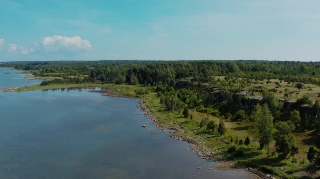 Aerial view of Baltic sea shore by verdant landscape. Rocky cliff side with trees and forest in a distance.