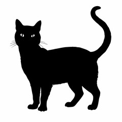 cat silhouette black vector SVG