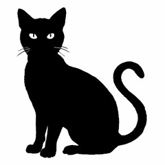 cat silhouette black vector SVG