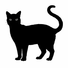 cat silhouette black vector SVG