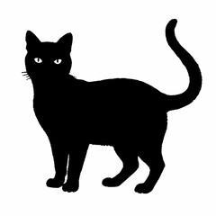 cat silhouette black vector SVG