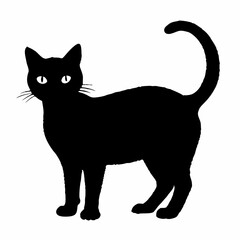 cat silhouette black vector SVG
