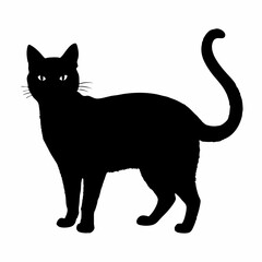 cat silhouette black vector SVG