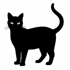 cat silhouette black vector SVG
