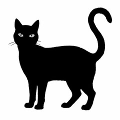 cat silhouette black vector SVG
