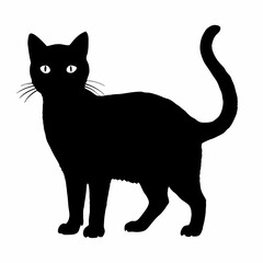 cat silhouette black vector SVG