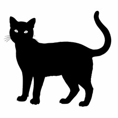 cat silhouette black vector SVG