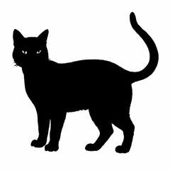 cat silhouette black vector SVG