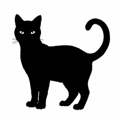 cat silhouette black vector SVG