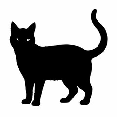 cat silhouette black vector SVG