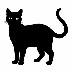 cat silhouette black vector SVG