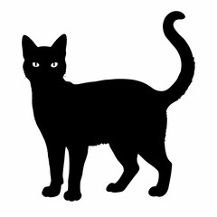 cat silhouette black vector SVG