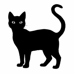 cat silhouette black vector SVG