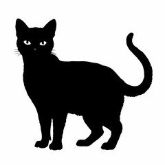 cat silhouette black vector SVG