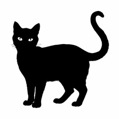 cat silhouette black vector SVG