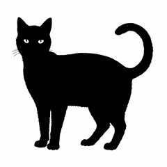 cat silhouette black vector SVG