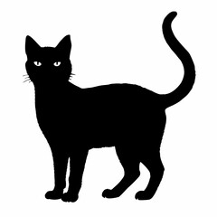 cat silhouette black vector SVG
