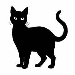 cat silhouette black vector SVG