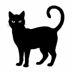 cat silhouette black vector SVG