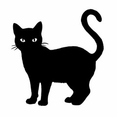 cat silhouette black vector SVG