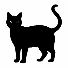 cat silhouette black vector SVG