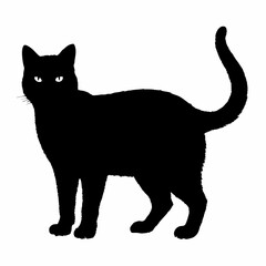 cat silhouette black vector SVG