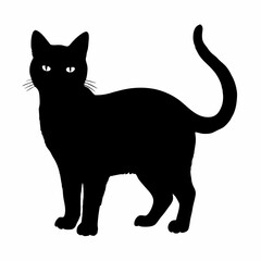 cat silhouette black vector SVG