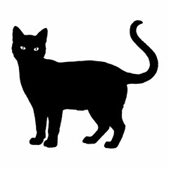 cat silhouette black vector SVG