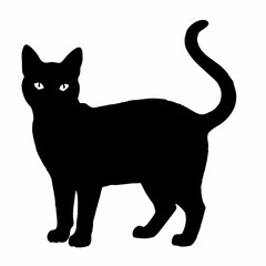 cat silhouette black vector SVG