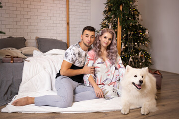 Couple in love sitting next to a Christmas tree with samoyed dog