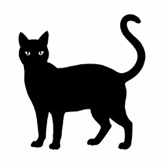 cat silhouette black vector SVG