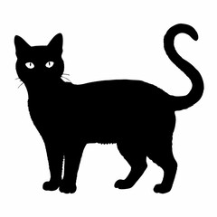 cat silhouette black vector SVG