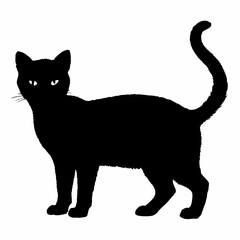 cat silhouette black vector SVG
