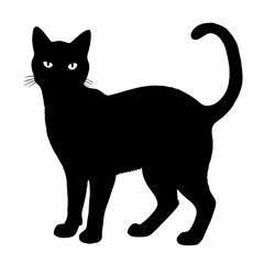 cat silhouette black vector SVG