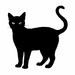 cat silhouette black vector SVG