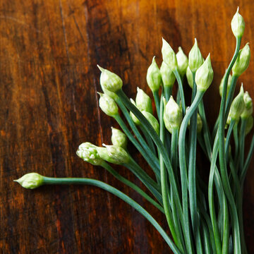 Chinese Leeks