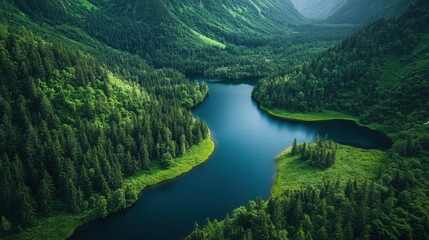 Fototapeta premium Close-up of natural ecosystems: forests, lakes, and rivers in harmony.