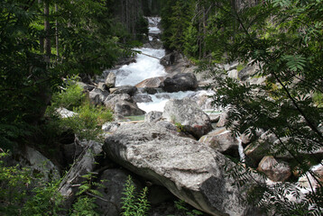 Landscape photo of the part of Vodopady Studeneho potoka waterfall surrounded by a dense pine forest near Stary Smokovec in Vysoke Tatry region, Slovakia	