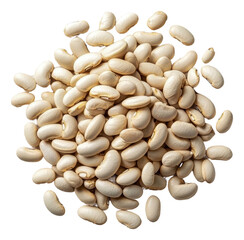 PNG Fresh white beans ready to cook