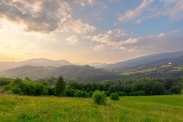 Picturesque scenery of summer green hills under a gorgeous sunset sky with clouds. Wildflowers on a...