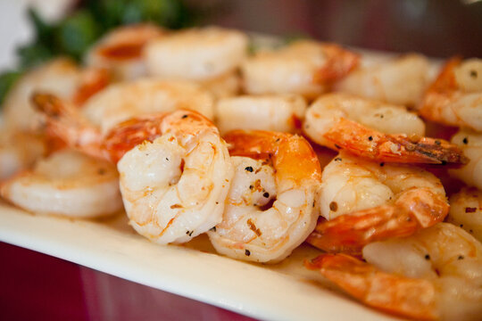 Close-up of Shrimp
