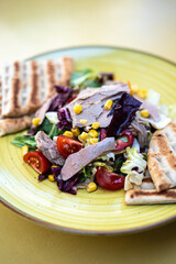 Grilled beef steak salad with sliced vegetables