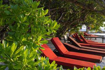 Red sun beds by the sea on an exotic tropical island in the warm southern sun and surrounded by...
