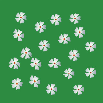 Night-flowering Jasmine parijat  shiuli coral jasmine. Hand drawn seamless pattern. shiuli flower vector art work.