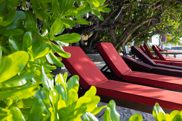 Red sun beds by the sea on an exotic tropical island in the warm southern sun and surrounded by green foliage. Paradise place to relax. Tourism, travel. 